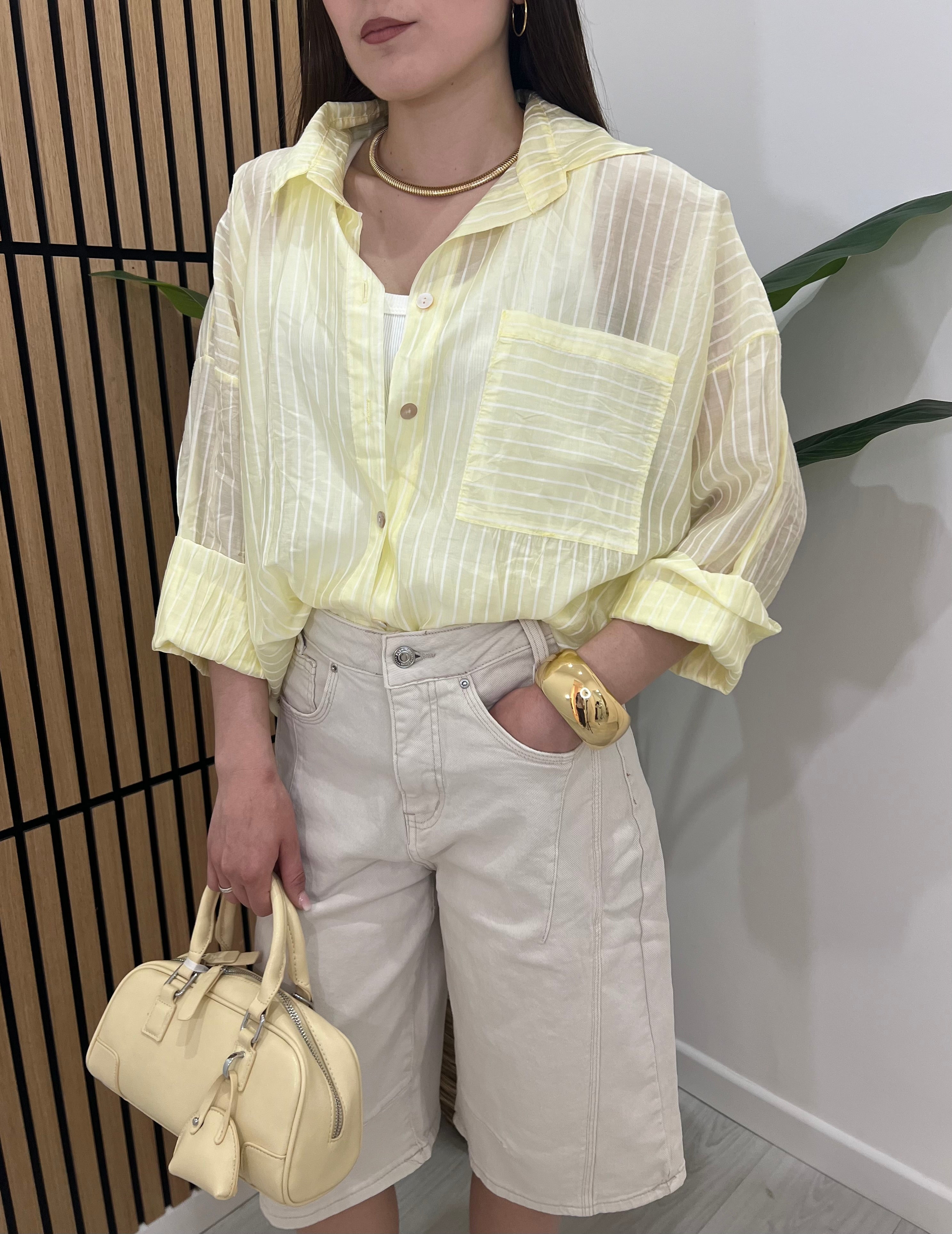 CAMICIA VELO RIGHE